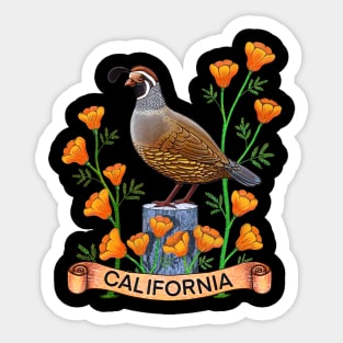 California quail state bird Californian poppy flowers Sticker